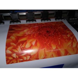 Flad manufacturer wholesale Self Adhesive Vinyl for Car Wrapping