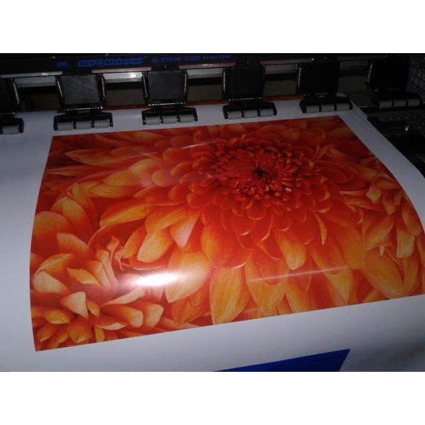 Buy Flad manufacturer wholesale Self Adhesive Vinyl for Car Wrapping at wholesale prices