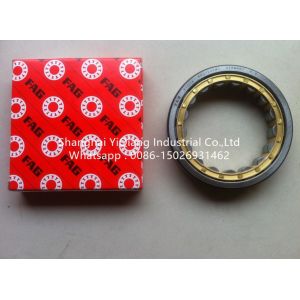 FAG Cylindrical Rolller Bearing RNU1020M1