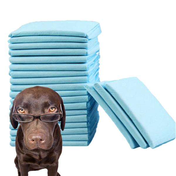Pet Cleaning High Absorbency Disposable Puppy Training Pee Pad with CE ISO