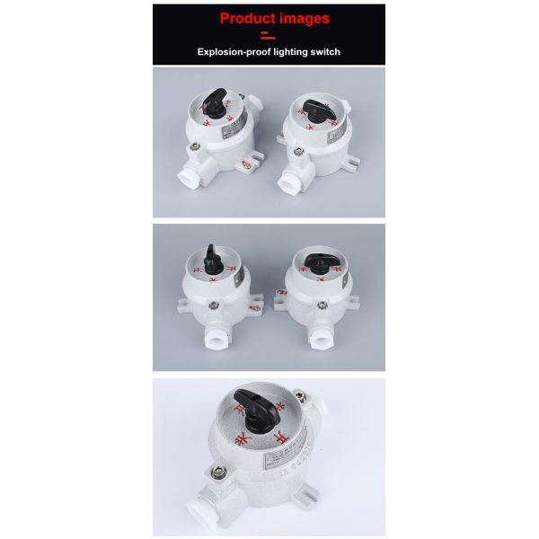 Industrial Explosion-Proof Lighting Switch Single & Double Anti-Corrosion Wall Switch 10A 16A wall electric switches