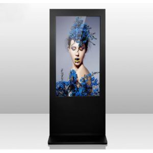 2000cd/m2 1920×1080 65" Digital Advertising Signage