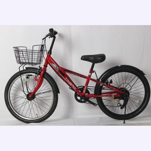 Aluminum Alloy 22 Inch MTB Mountain Bikes SHIMANO 6 Speed