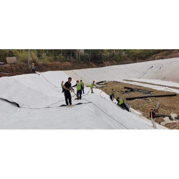 Buy Composite Geomembrane: Reinforced Protection with Geotextile Backing at wholesale prices