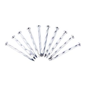 ODM 2.5 Inch Concrete Steel Nail Electro Galvanized Steel Nails