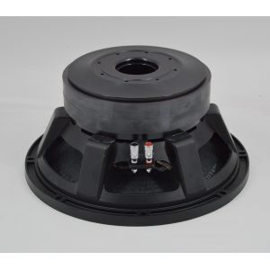 200x25mm Double Magnet 800W RMS 2KHz 12 Inch PA Subwoofer