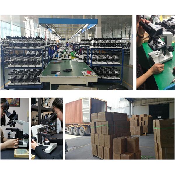 Laboratory Compound Xsz 107bn 1600x Biological Microscope