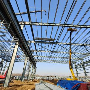 Custom Prefabricated Modern Prefab Metal Buildings Large Span Steel Structure