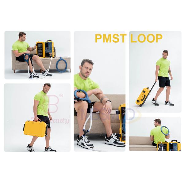 Pmst Double Loop For Human Physical Therapy Physio PEMF Magnetic Therapy Device Machine For Frozen Shoulder Pain Relief