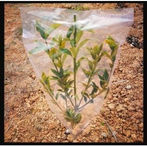 Biodegradable PE Packaging Bag Transparent Dustproof Environmental Friendly