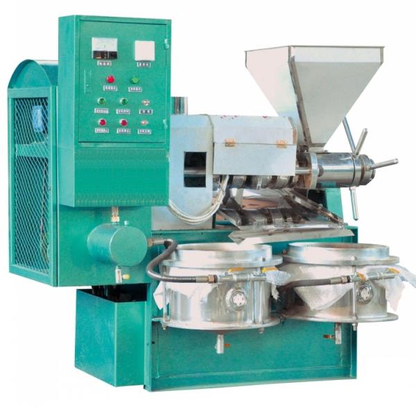 Buy Automatic Soybean Oil Press Machine / Peanut Screw Oil Press at wholesale prices