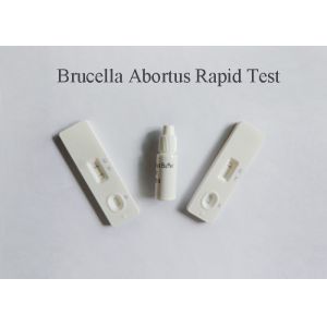 Plasma Specimen Blood Infection Test Detect Brucella Abortus Antigen 98%