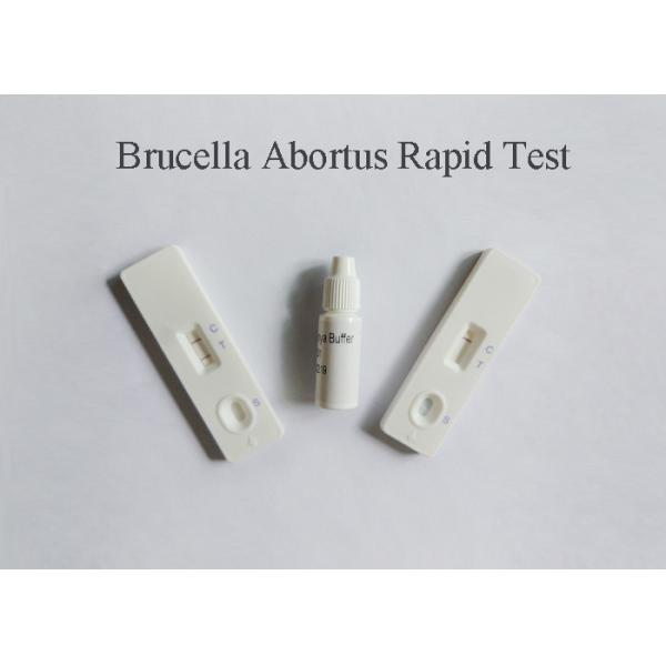 Plasma Specimen Blood Infection Test Detect Brucella Abortus Antigen 98%
