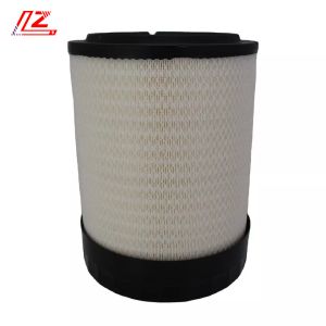 Truck Model truck Diesel Fuel Filter PU1059X with and Durability