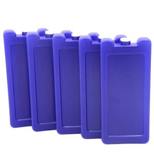 FDA Hard Plastic Reusable Ice Bricks With Logo Printed