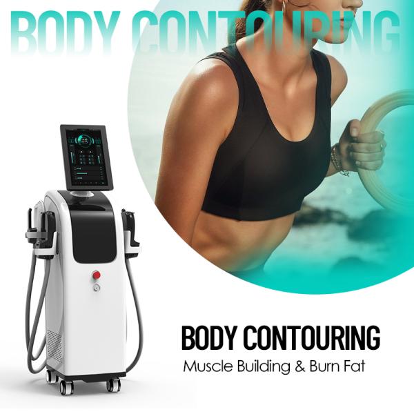 13 Tesla ems machine