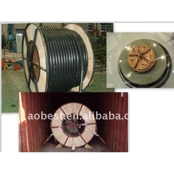 Hot Sale XLPE Insulated High Tension (HT) Power Cables High Voltage Copper Conductors for Underground Application