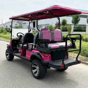 Six-seater Off-road Pink Luxury Electric Golf Cart With Customizable Color And