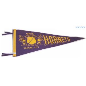 150D Polyester Advertising Sports Pennant Flag Triangle Shape