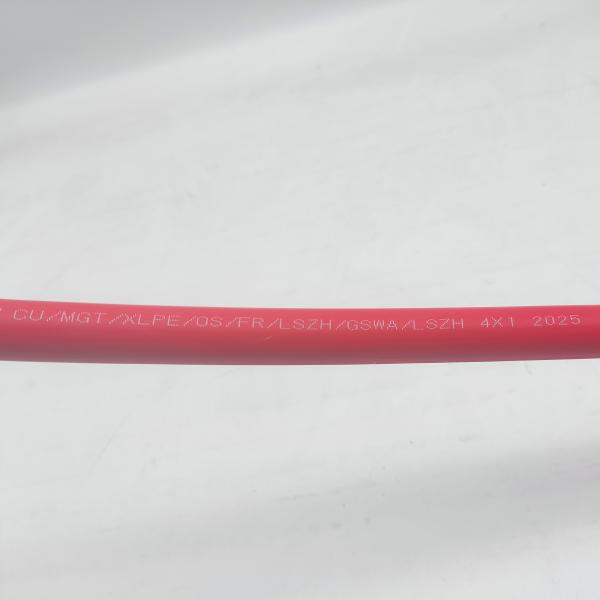 Instrumentation Cable 300/500V CU/MGT/XLPE/OS/FR/LSZH/GSWA/LSZH 4x1