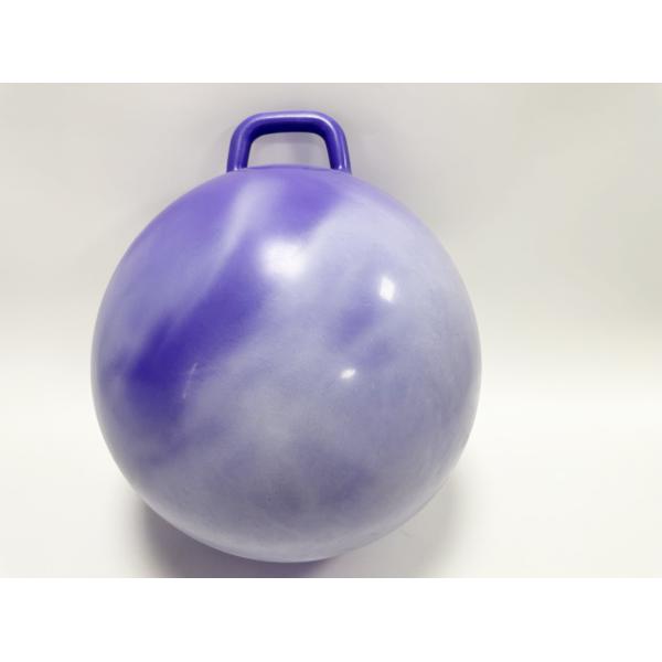 Buy Teenagers Hippity Hop Jumping Hopping Ball Relay Races hot selling at wholesale prices