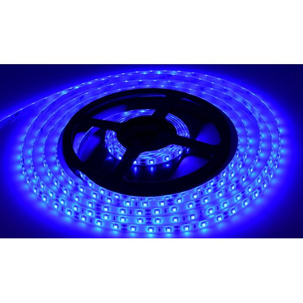 12V Single Color LED Strip Lights SMD 3528 60 Warm Cool White Dimmable
