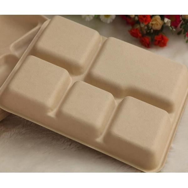 5 compartments Biodegradable Straw pulp food containers paper food trays