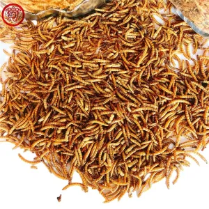 Quality Insects Mealworms Fish Food Natural Flavor Dry And Cool Place Storage for sale