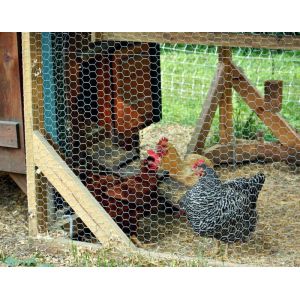 Chicken Wire Mesh for Poultry Netting/ Hexagonal Wire Netting