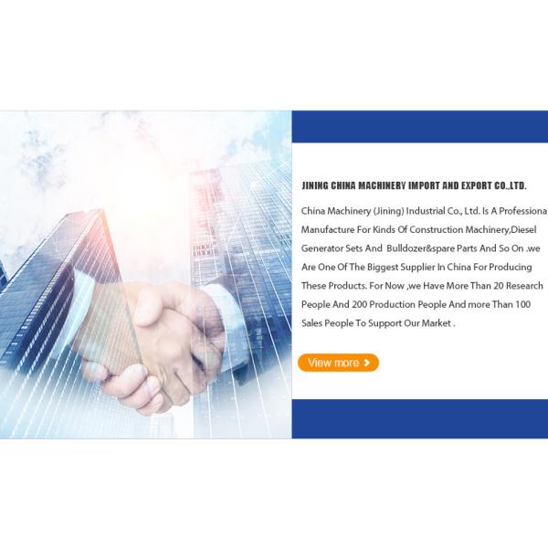 200 KW Silent Power Generator Set 250 Kva Auto Start Three Phase 50/60Hz Frequency 480V Rated Voltage Soundproof Design