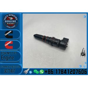 Construction Machinery PartsFuel Injector ForM11 PTDiesel13071497 4914328