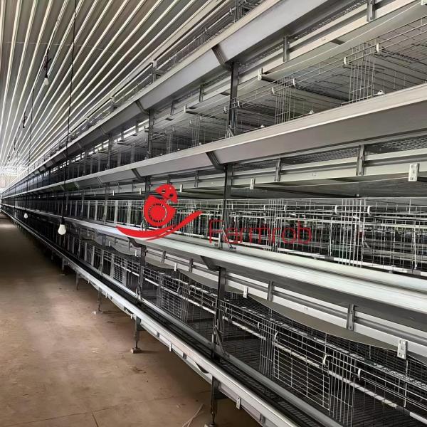 Buy Enhanced Biosecurity Poultry Battery Cage System for Baby Chickens at wholesale prices