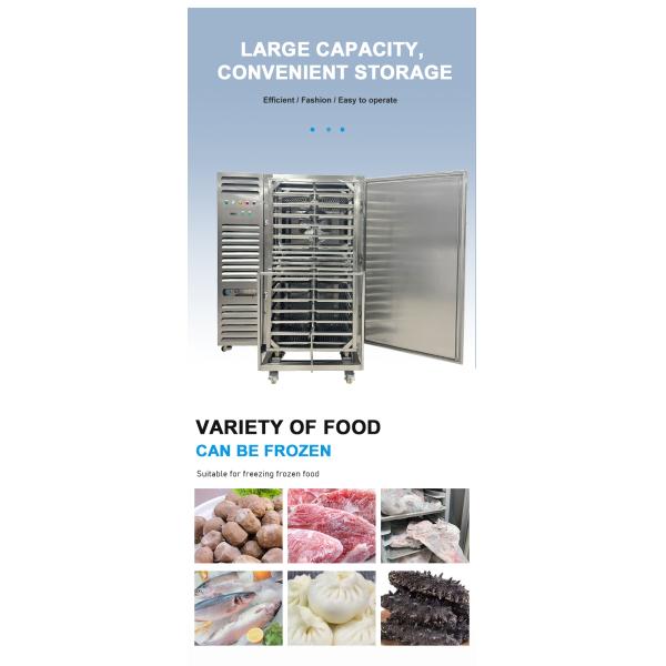 Commercial Quick Freezer Machine Single Phase Industrial Blast Freezer 15 Trays