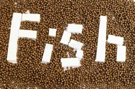 6 ton/h Animal Pet Food Production Line Dog Food Machine Fish Feed