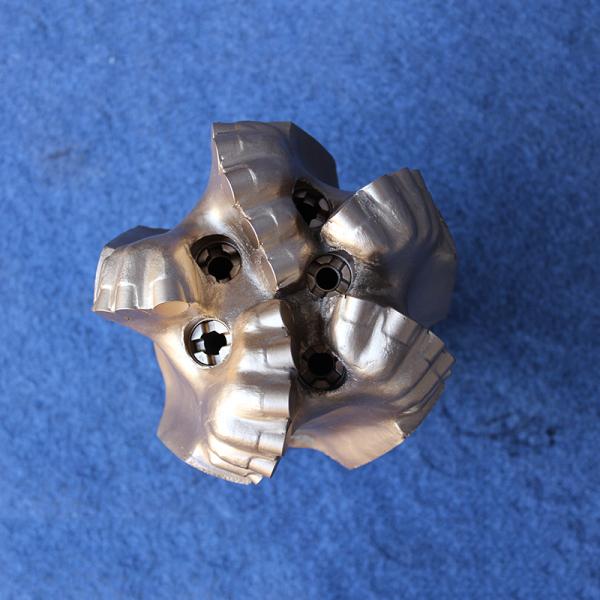 11 (269.9mm) Gauge Structure Water Well PDC Bits Polycrystalline Diamond