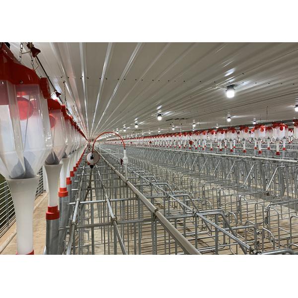 Buy 2.5 - 30 Tons Silo Swine Piggery Farm Equipment at wholesale prices