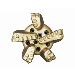 12-1/4′′ 13mm 16mm 19mm API PDC Drill Bits for Hard Rock