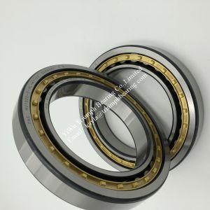 FAG Cylindrical Roller Bearing NU1020-E-XL-M1-C3