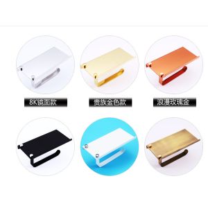 Stainless Steel Toilet Holder With Shell