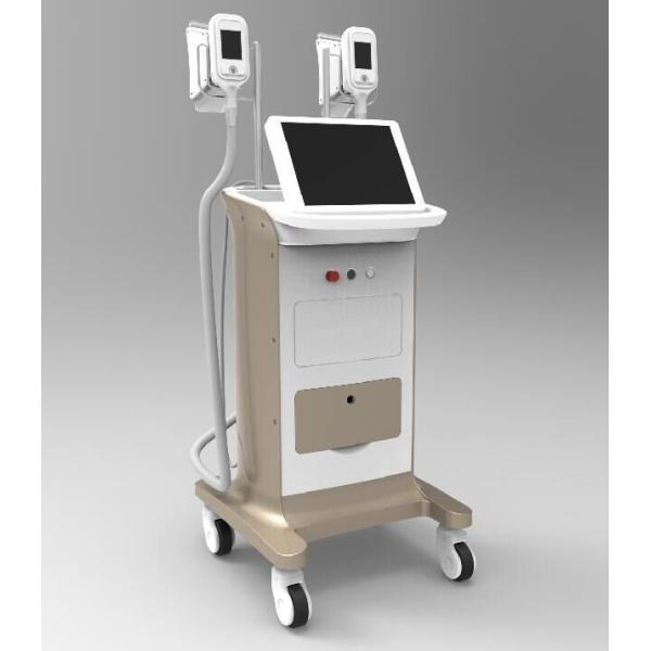 Buy quick and amazing results Cryolipolysis Vacuum RF at wholesale prices