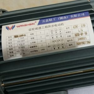 380V 50HZ 220V 60HZ Poultry Feeding System Motor Single Three Phase