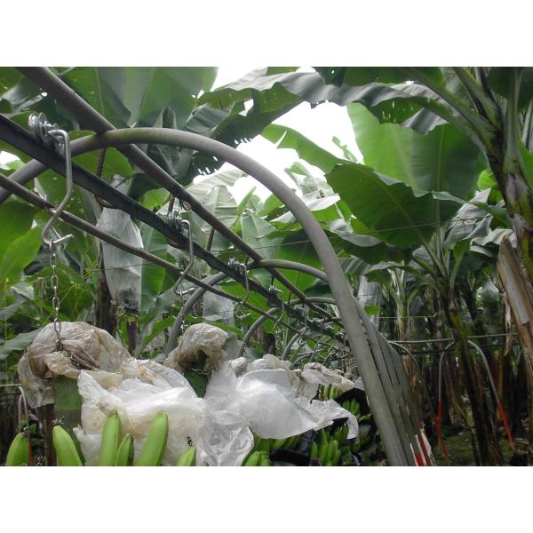 Galvanized Steel Banana Garruchas Trolley Hanger