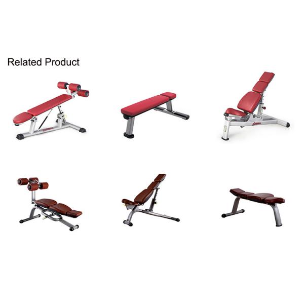 Indoor Commercial Gym Rack And Bench , Utility Bench Pro Fitness Equipment