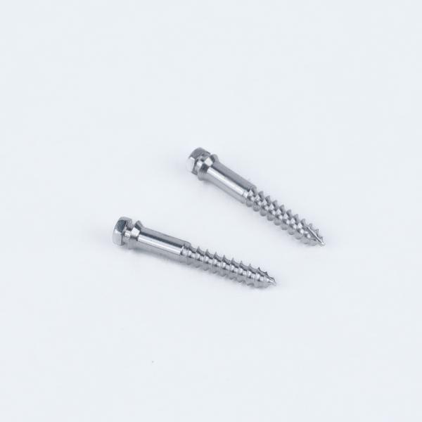 2-Pack Orthodontic TAD MSE Titanium Mini Screws Primary Application Micro-Implant Assisted Rapid Palatal Expansion MSE