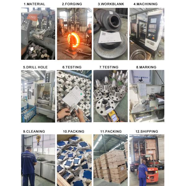 BS4504 DIN Pn16 forging Plate RF Stainless Steel ASTM A182 304 316L 904 2205 2 inch pipe Flange
