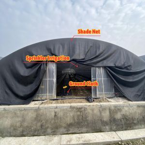 Vegetable Mushroom Planting Shading Greenhouse With Black White Covering And