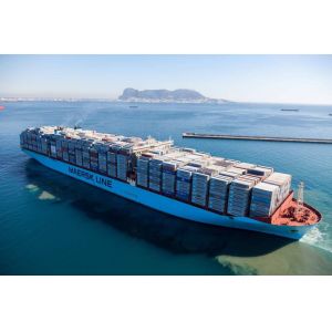 Quality Ocean Freight Forwarding Services to Kingston,Jamaica for sale
