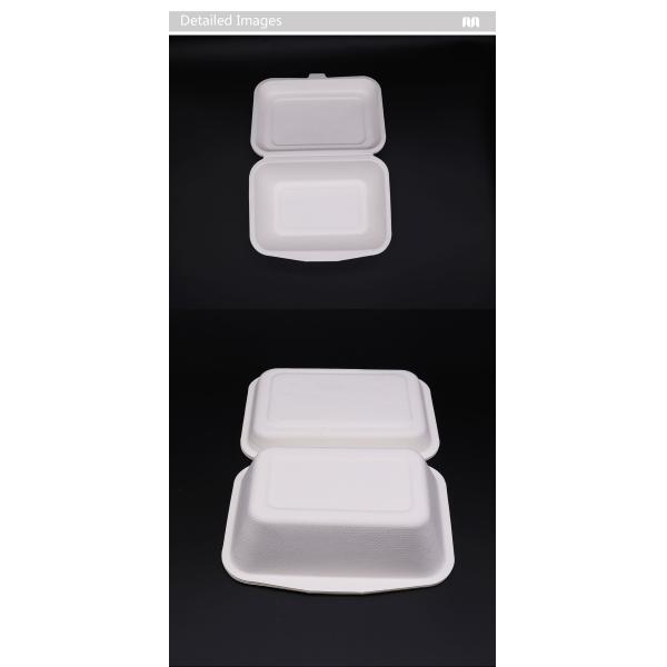 Biodegradable Disposable Sugarcane Bagasse Takeaway Food Container Packaging Clamshell Lunch Box Paperboard Accept B002 Hbmg
