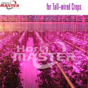 Double Sided LED Strips Grow Light 660nm Anodizing Artificial Light For Indoor