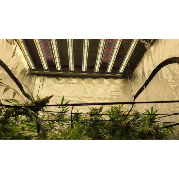 RedFarm 30W Osram 730nm IR 660nm Red Emerson Effect Infrared Grow Bar Supplement Lighting For Cannabis Enhancement 1